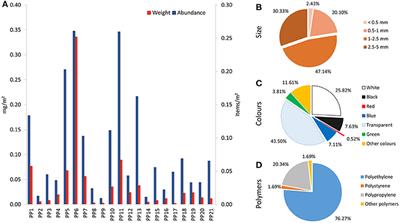 Plastic Debris Occurrence, Convergence Areas and Fin Whales Feeding Ground in the Mediterranean Marine Protected Area Pelagos Sanctuary: A Modeling Approach